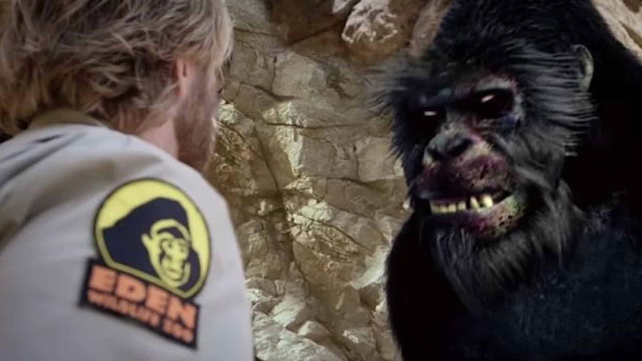 Backdrop image for movie Zoombies