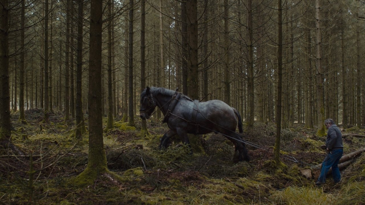 Backdrop image for movie Trees