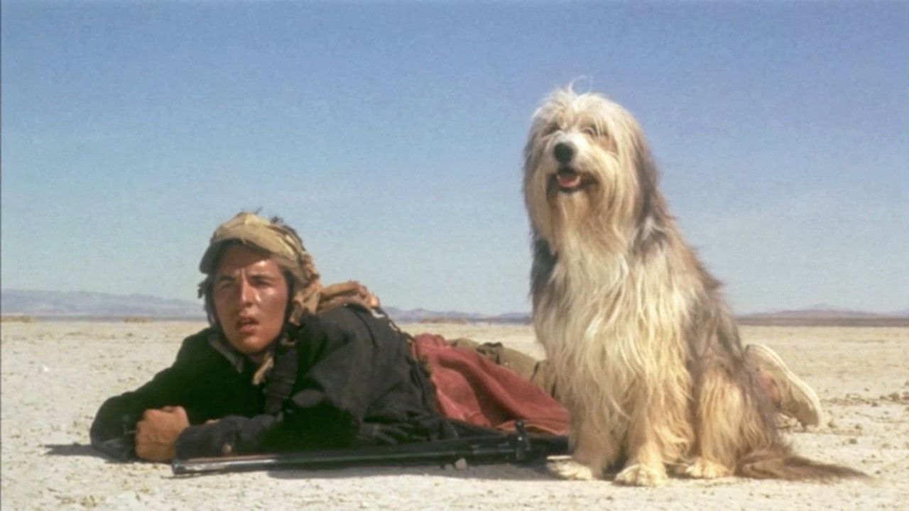 Backdrop image for movie A Boy and His Dog