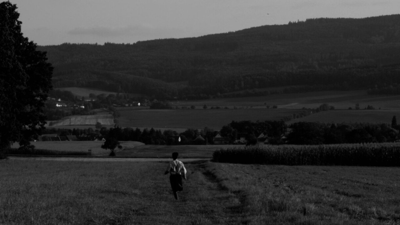 Backdrop image for movie The Painter