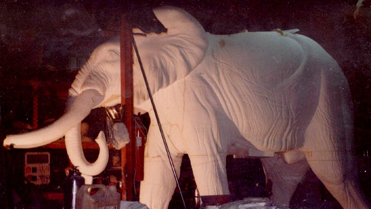 Backdrop image for movie El elefante del rey