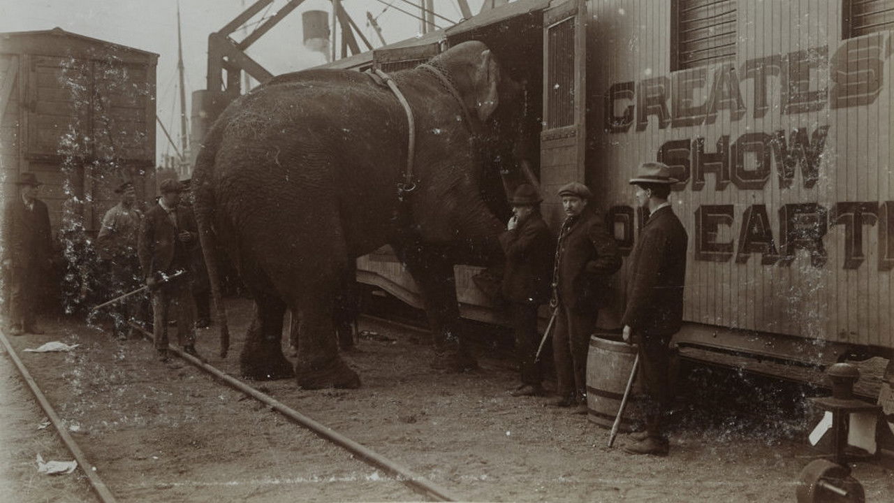 Backdrop image for movie The Tragic Story of Fritz the Elephant