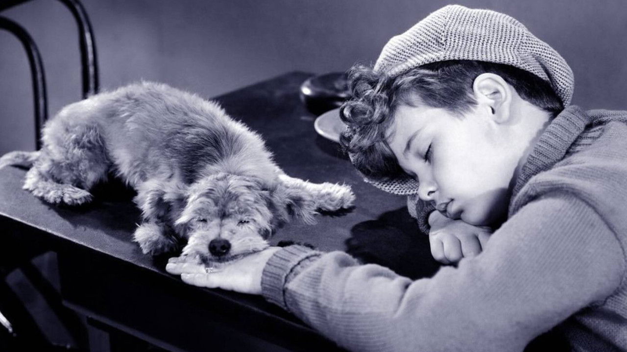 Backdrop image for movie The Mighty McGurk