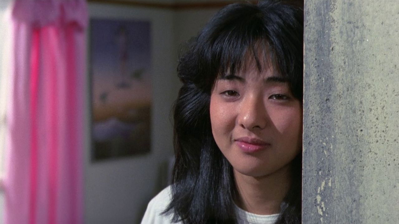 Backdrop image for movie Pink Curtain