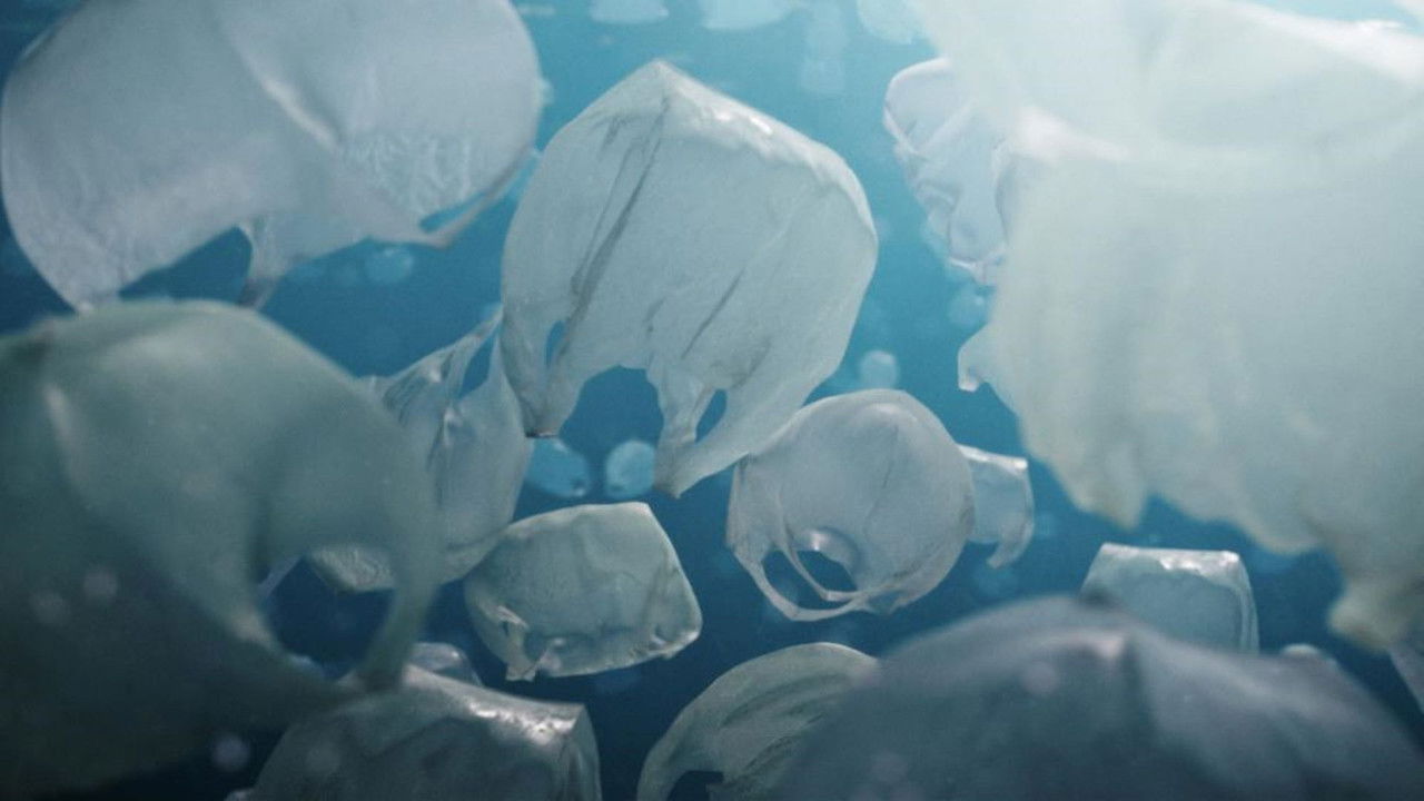 Backdrop image for movie The Beauty