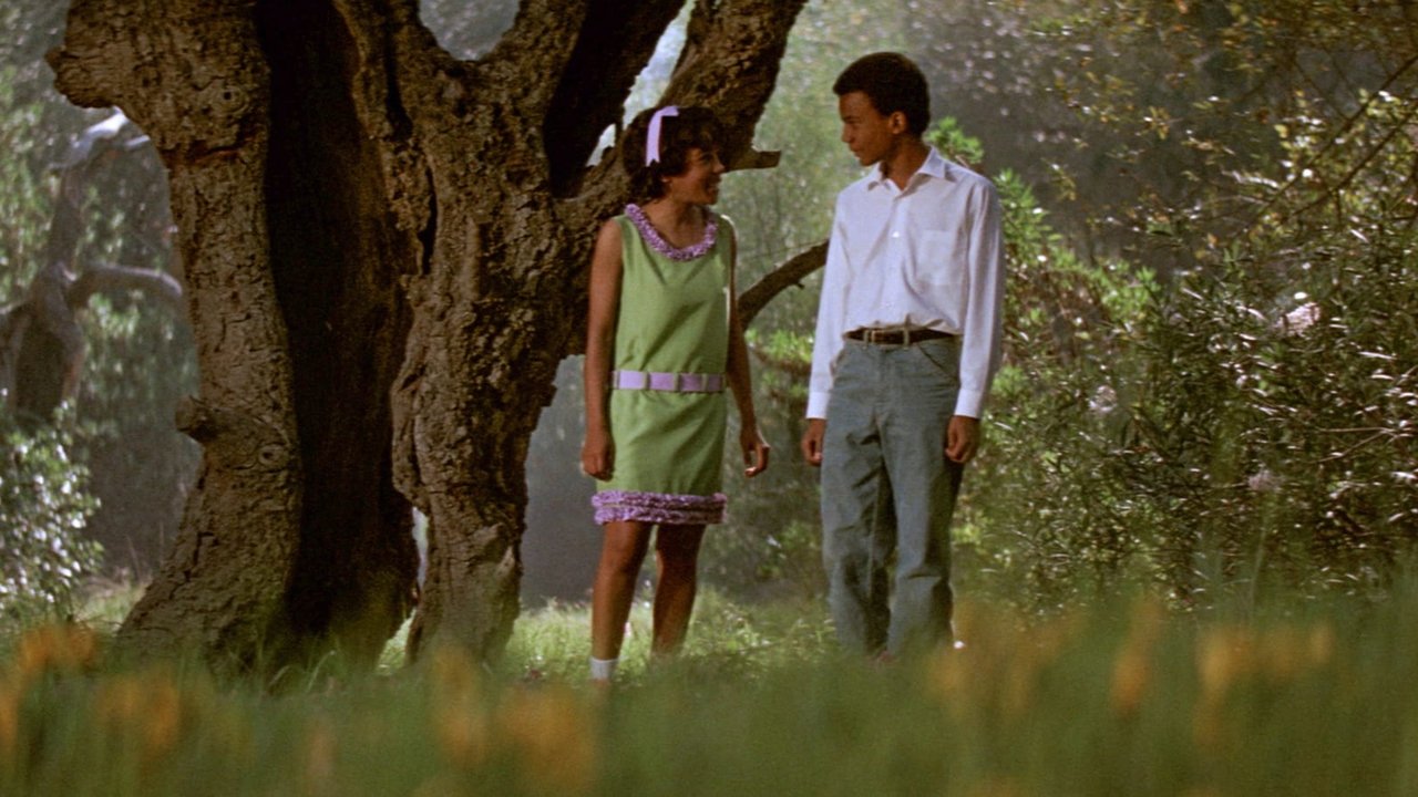 Backdrop image for movie The Learning Tree