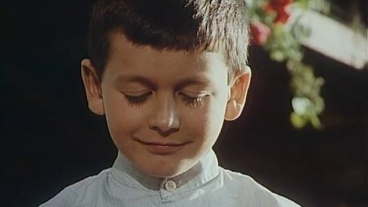 Backdrop image for movie Eu, o tolo