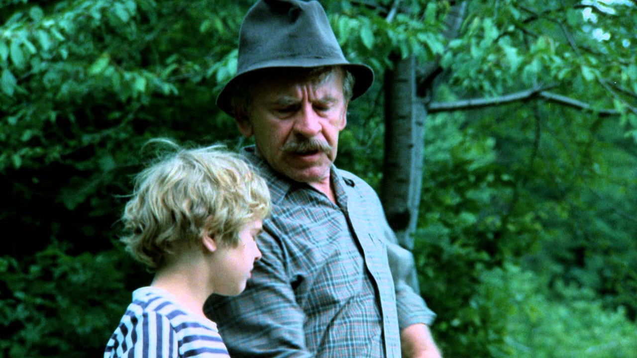 Backdrop image for movie Kosenie Jastrabej lúky