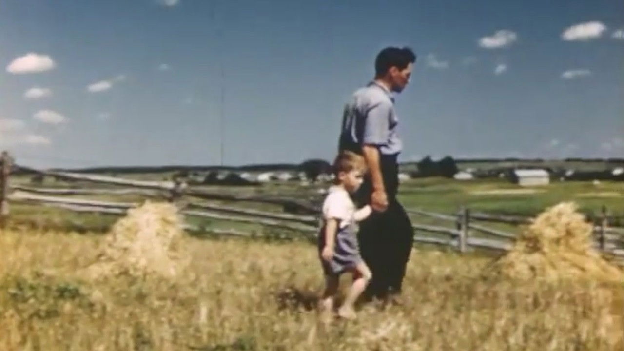 Backdrop image for movie Rural Youth