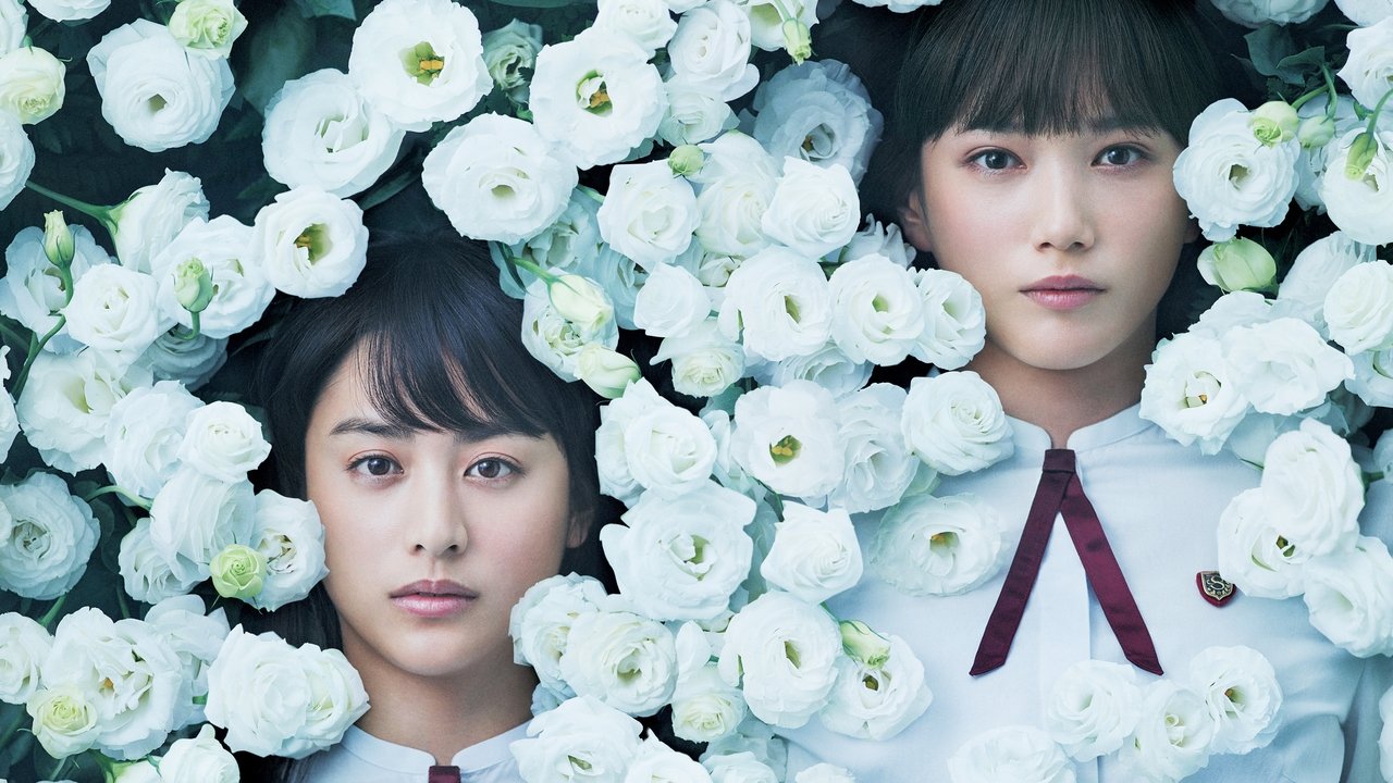 Backdrop image for movie Night's Tightrope