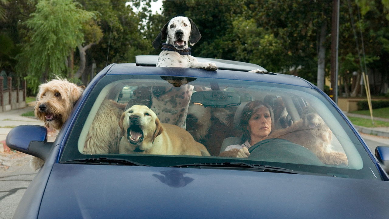 Backdrop image for movie Year of the Dog