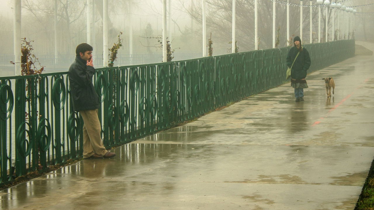 Backdrop image for movie Because of a Fly