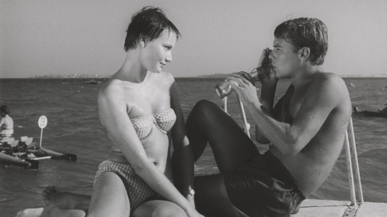 Backdrop image for movie The Sun and the Shadow