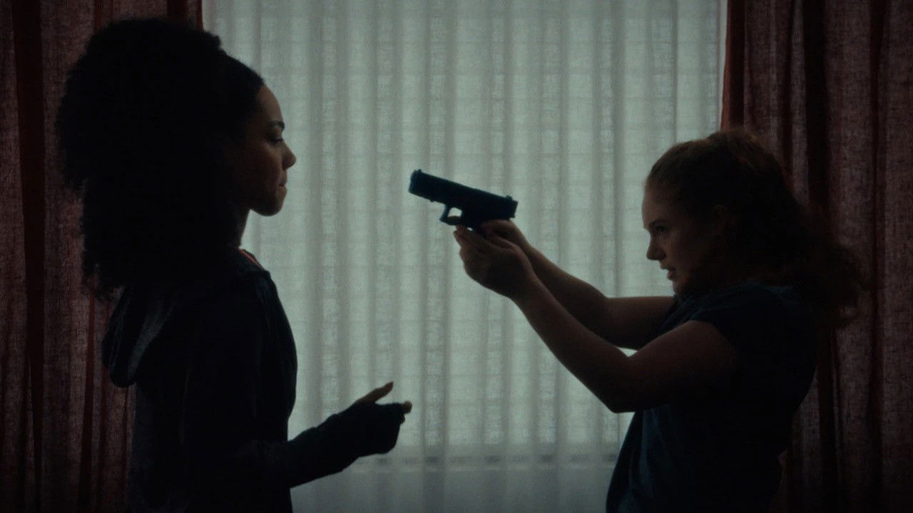 Backdrop image for movie Disarmed