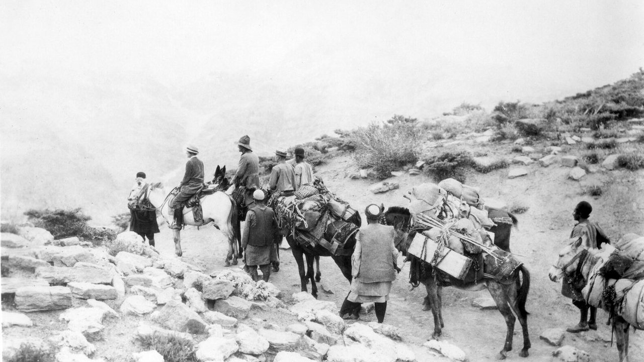 Backdrop image for movie Grass: A Nation's Battle for Life