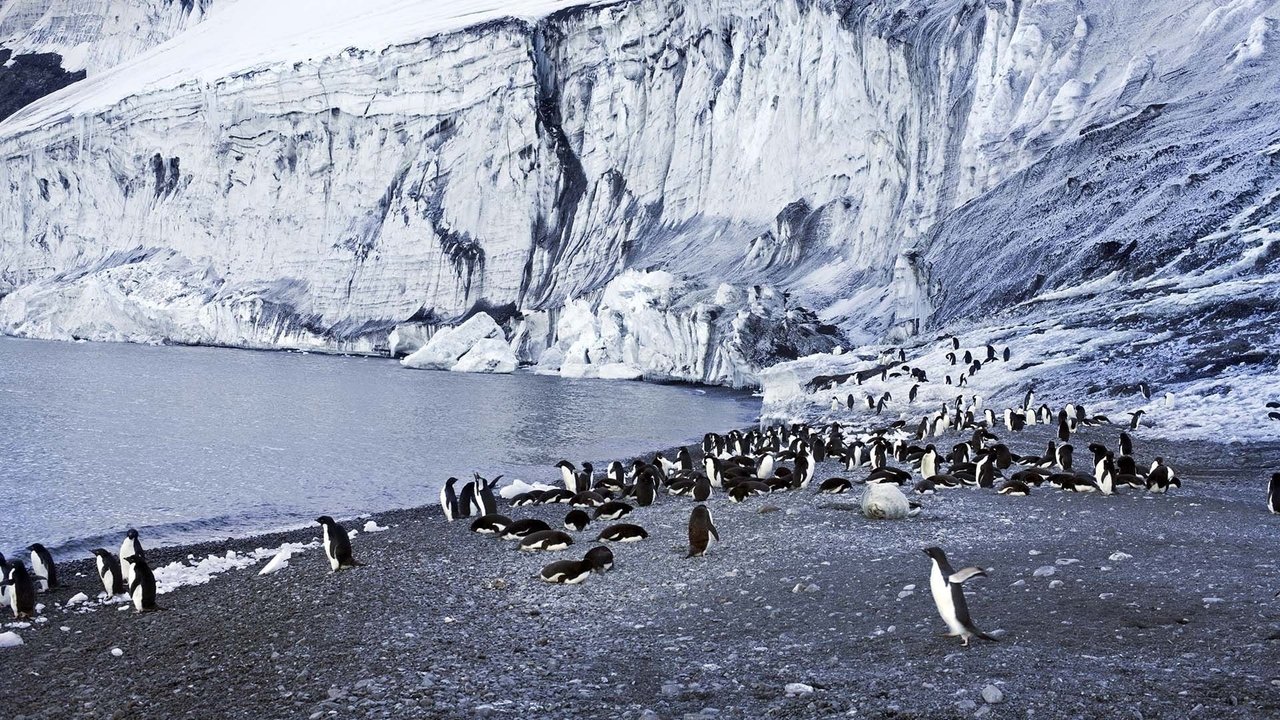 Backdrop image for movie Antarctica: The Frozen Time