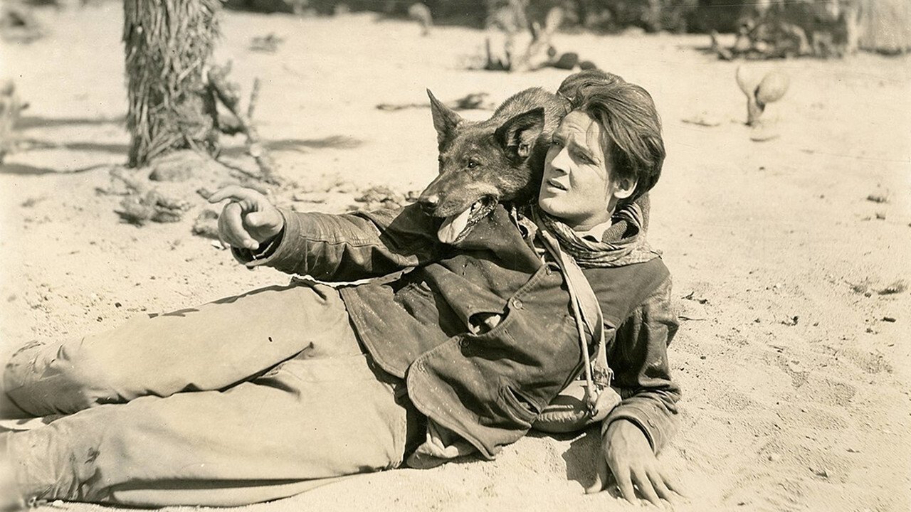 Backdrop image for movie Clash of the Wolves