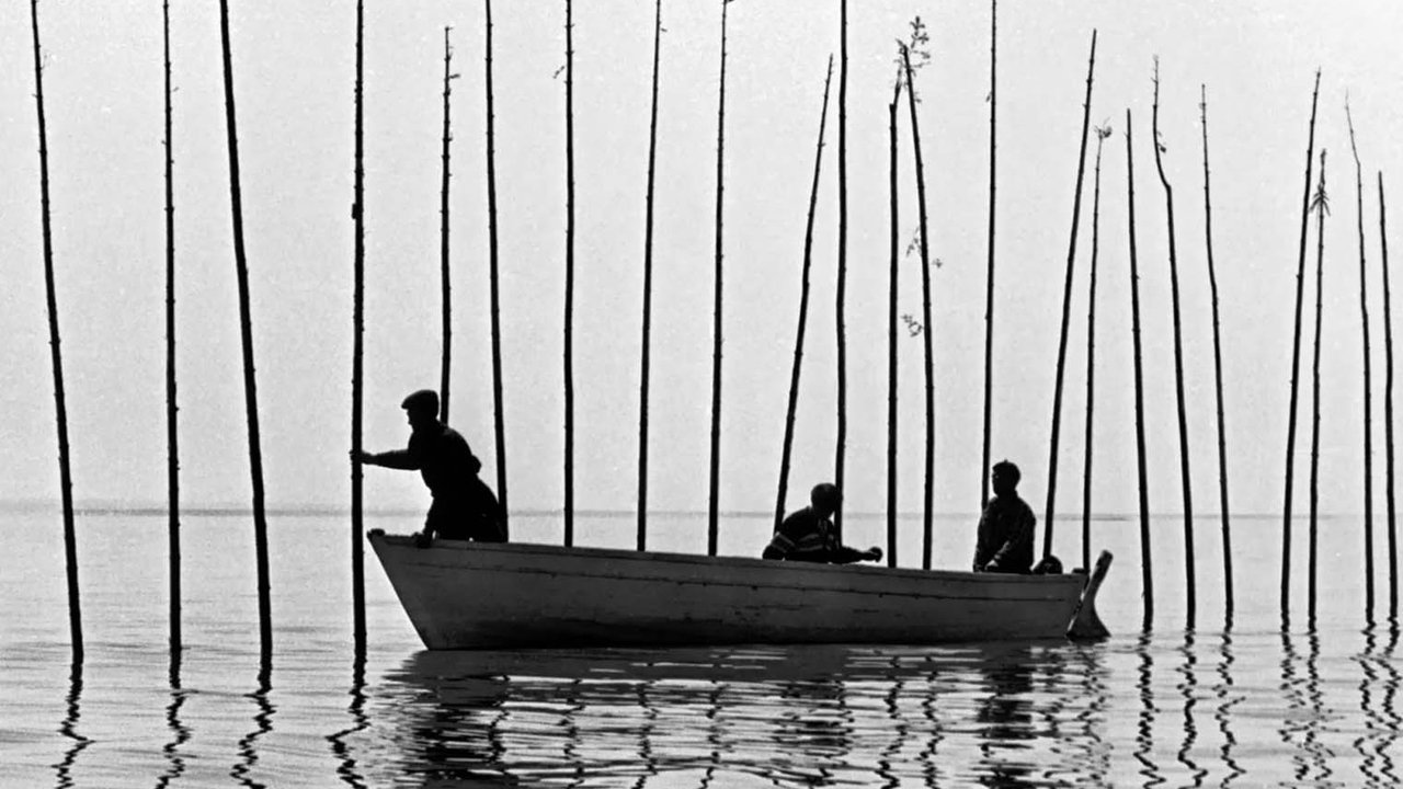 Backdrop image for movie Of Whales, the Moon, and Men