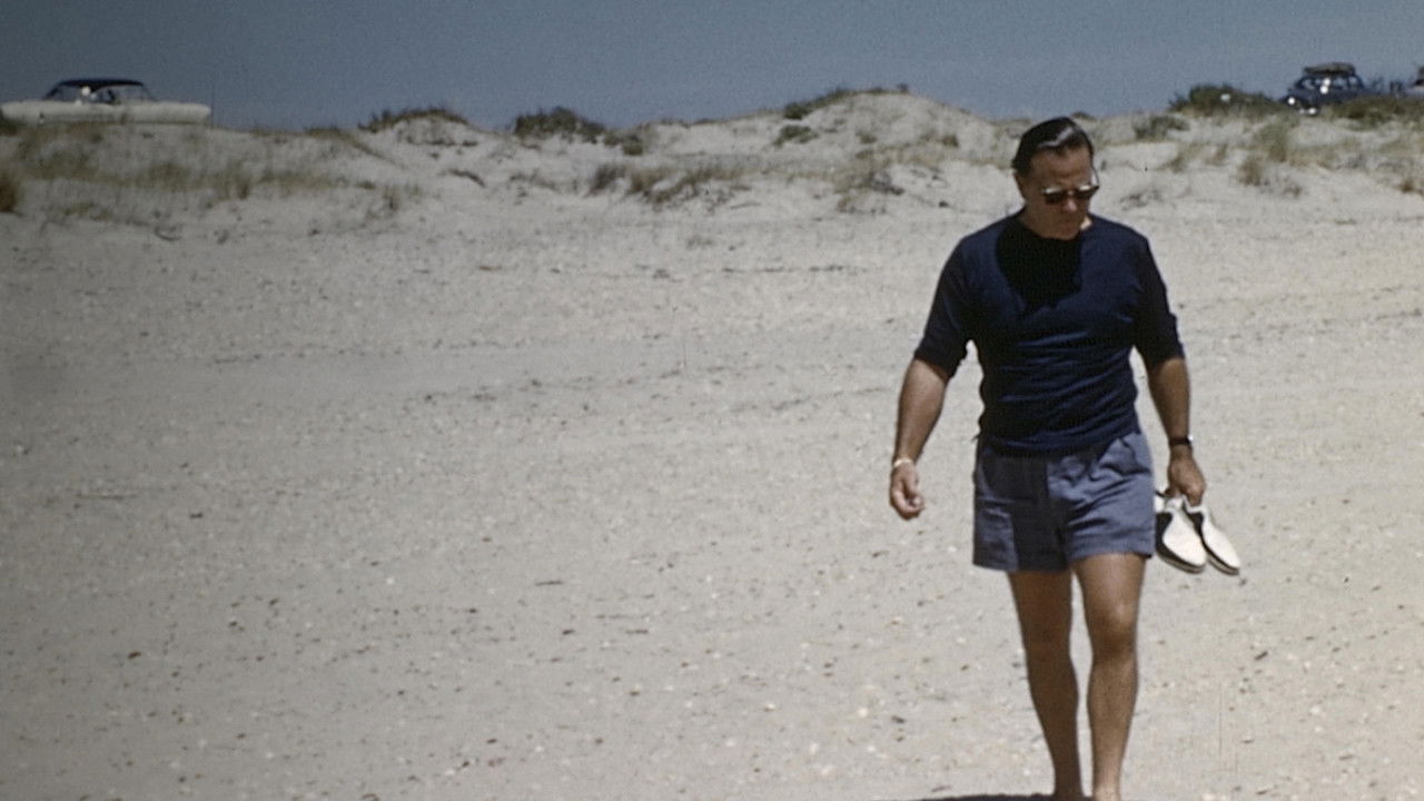 Backdrop image for movie My Mexican Bretzel