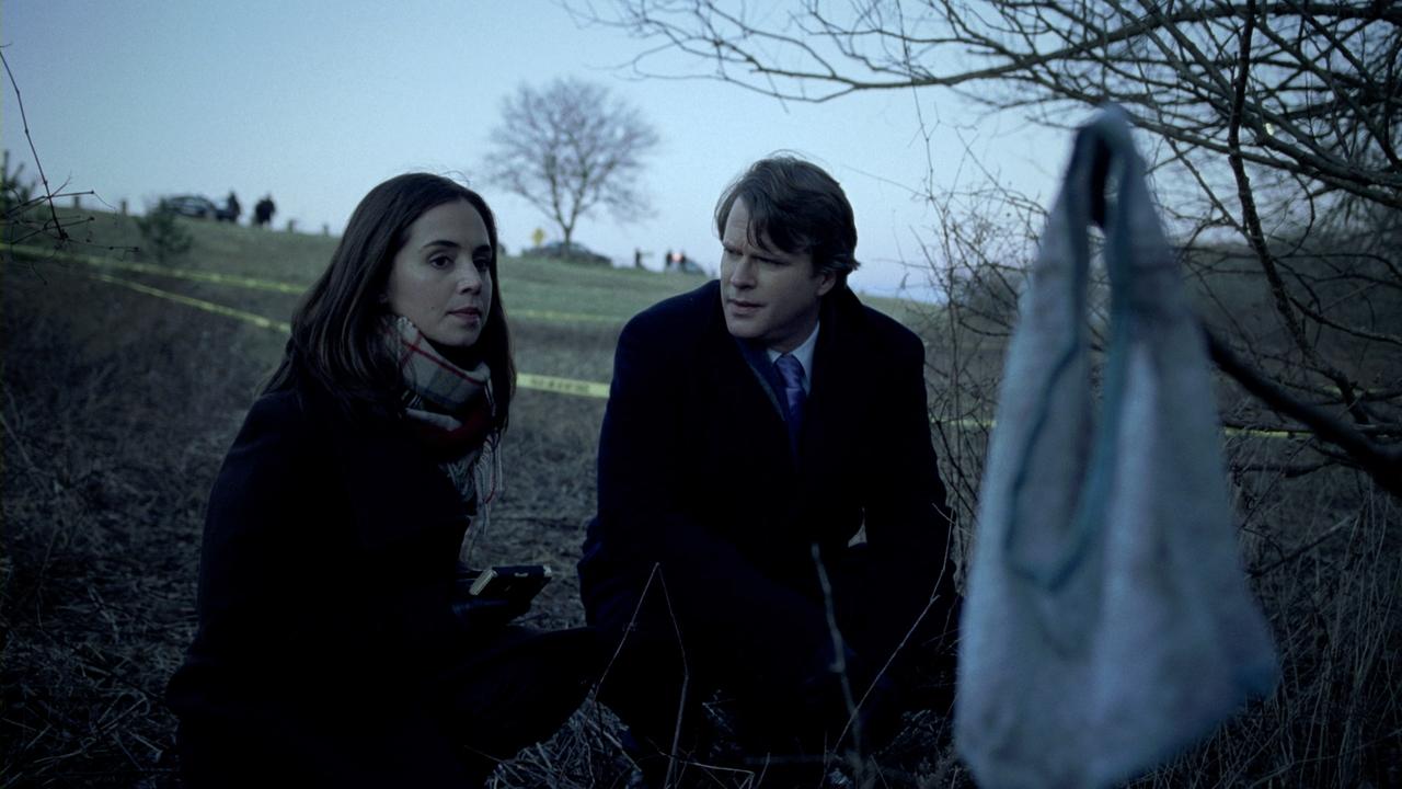 Backdrop image for movie The Alphabet Killer