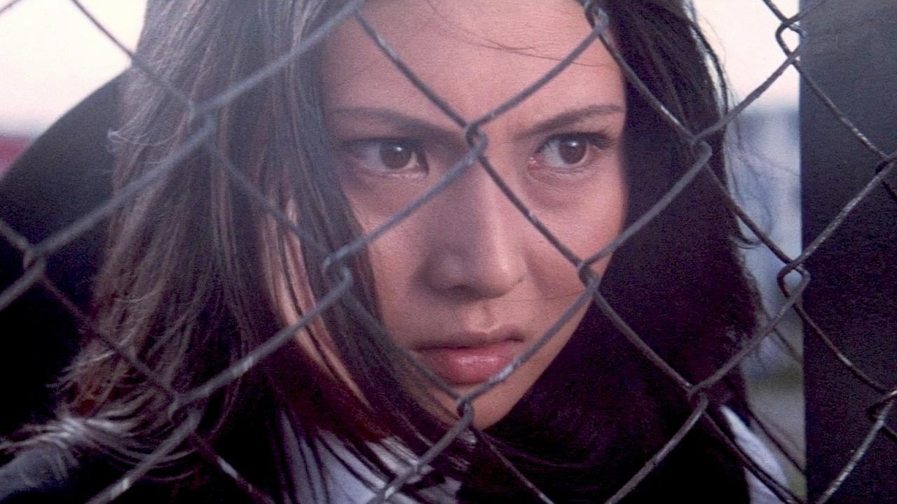 Backdrop image for movie Stray Cat Rock: Sex Hunter