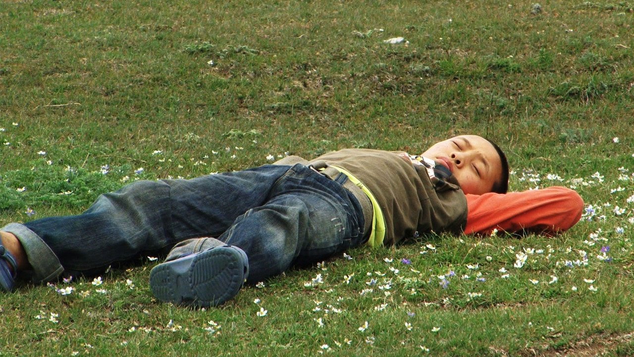 Backdrop image for movie OLO, the Boy from Tibet