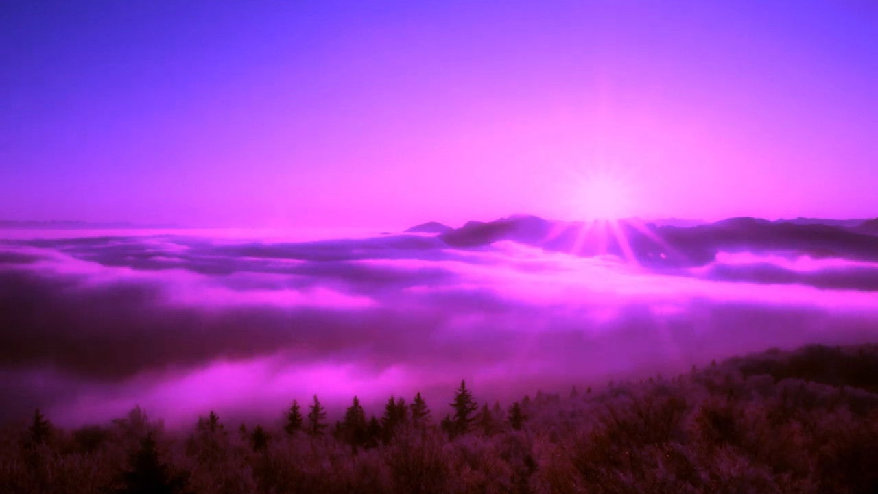 Backdrop image for movie Purple Leone