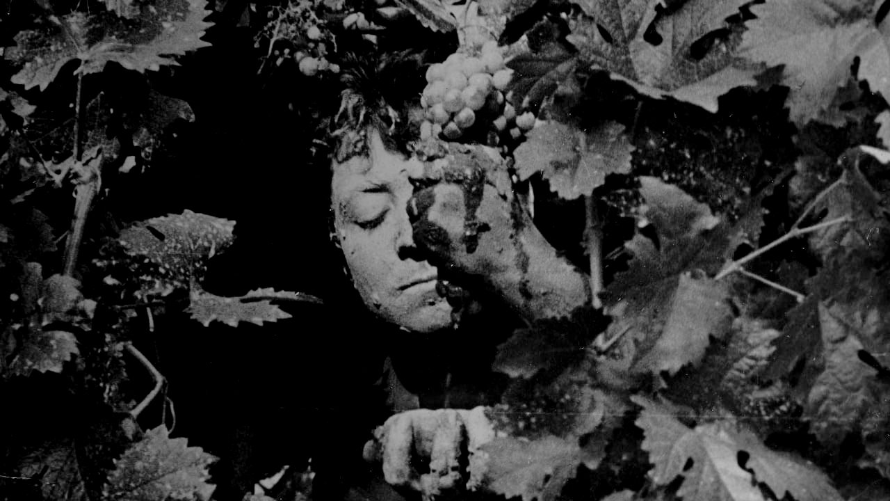 Backdrop image for movie Tríptico elemental de España