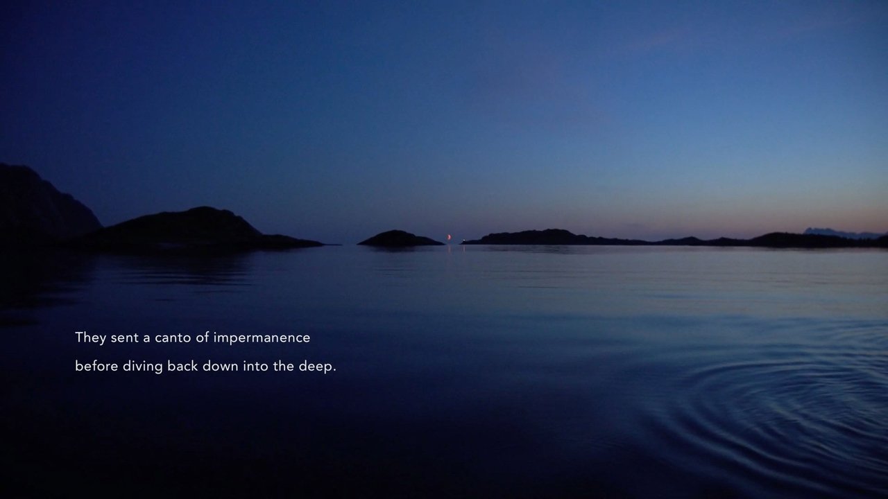 Backdrop image for movie Acoustic Ocean