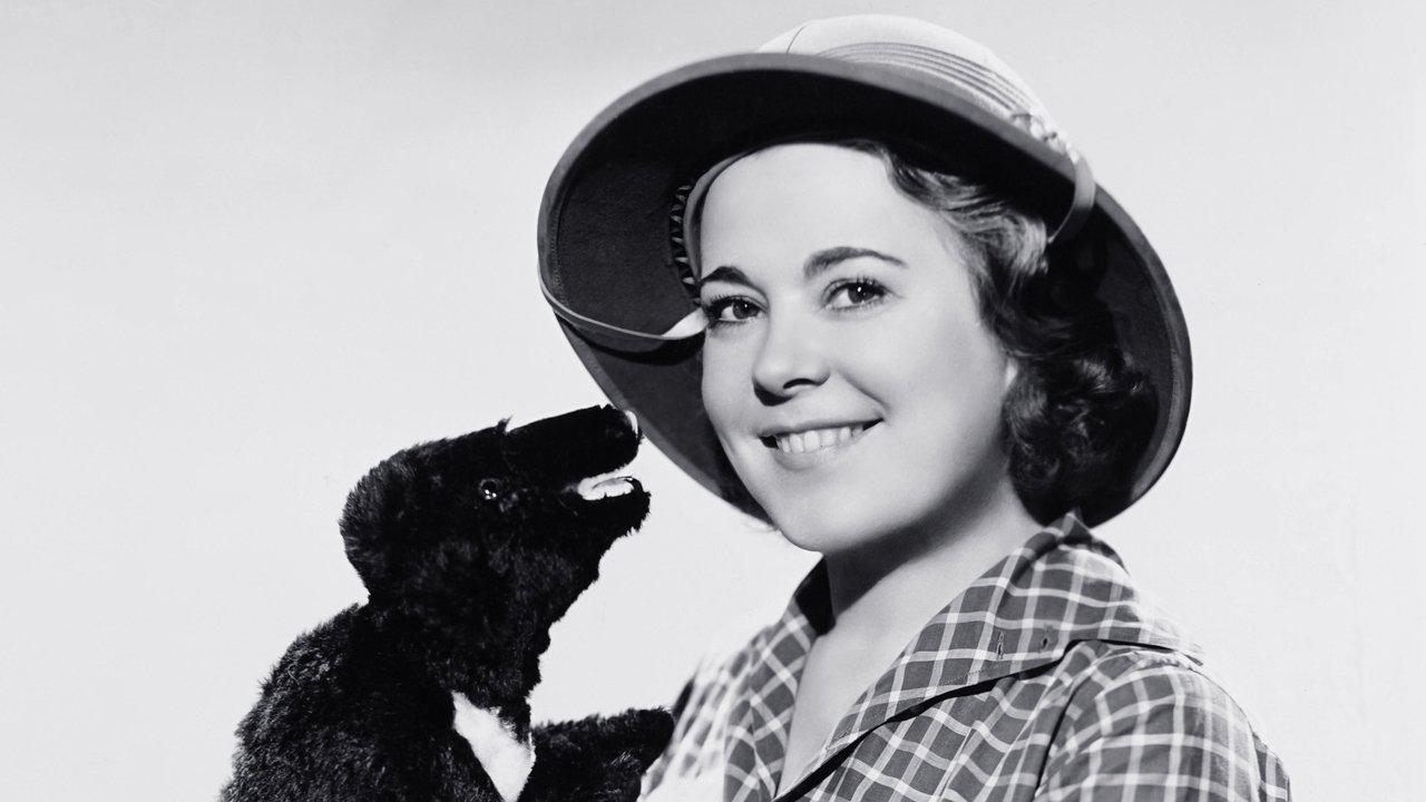 Backdrop image for movie I Married Adventure