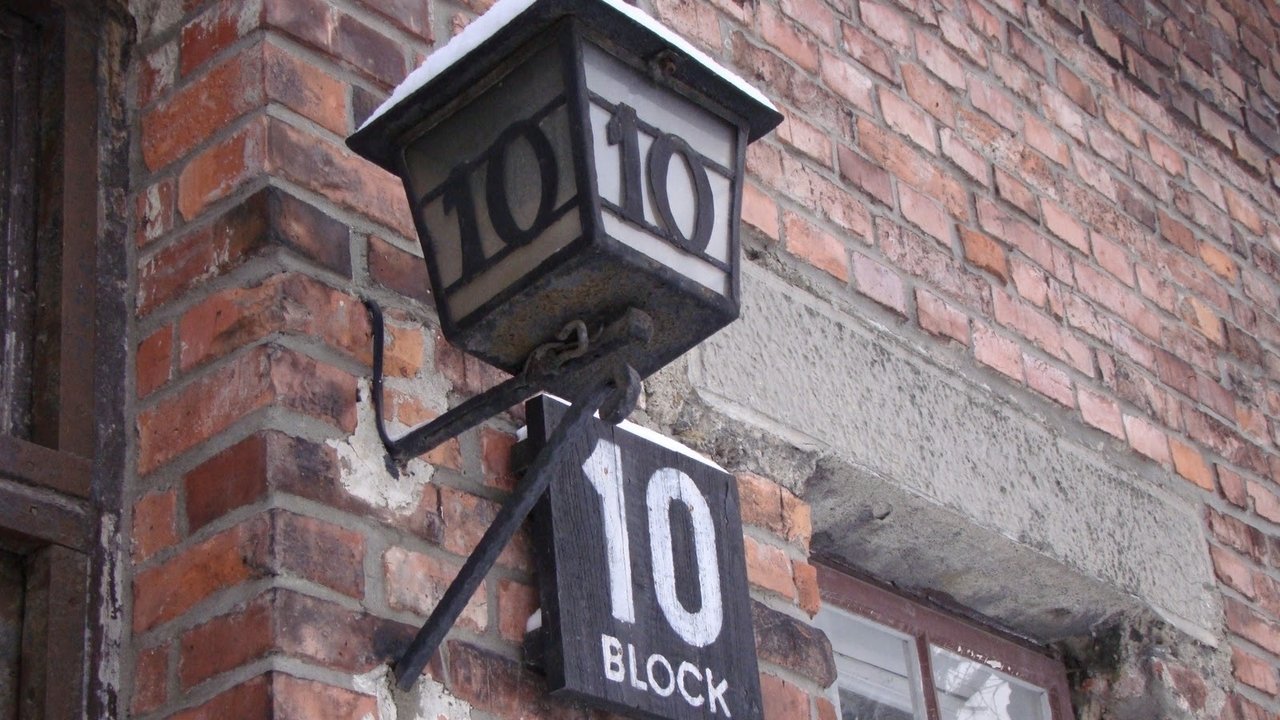 Backdrop image for movie Made in Auschwitz: The Untold Story of Block 10