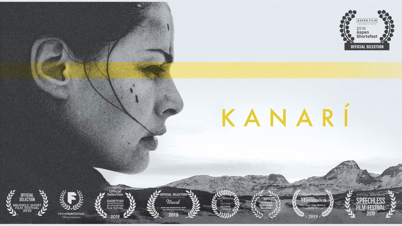 Backdrop image for movie Kanarí