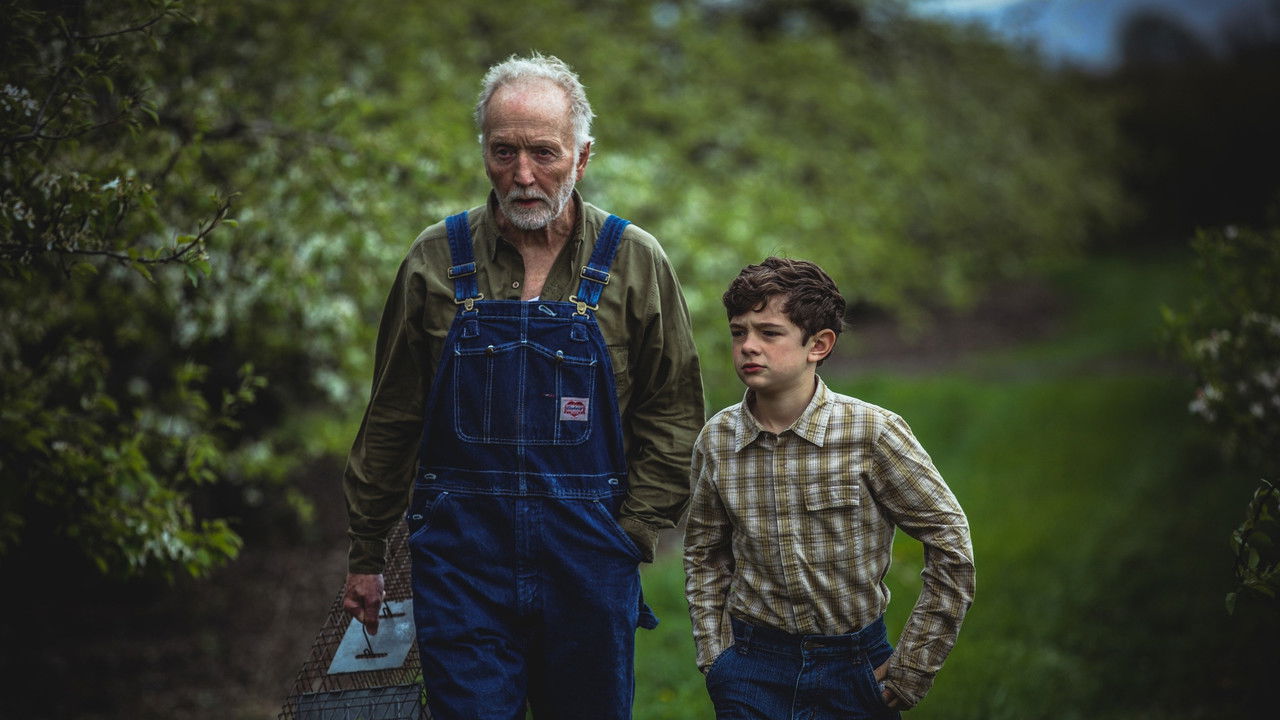 Backdrop image for movie My Pretty Pony