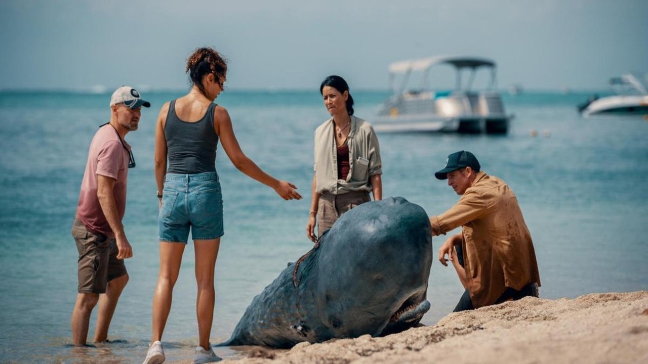 Backdrop image for movie Retter der Meere - Tödliche Strandung