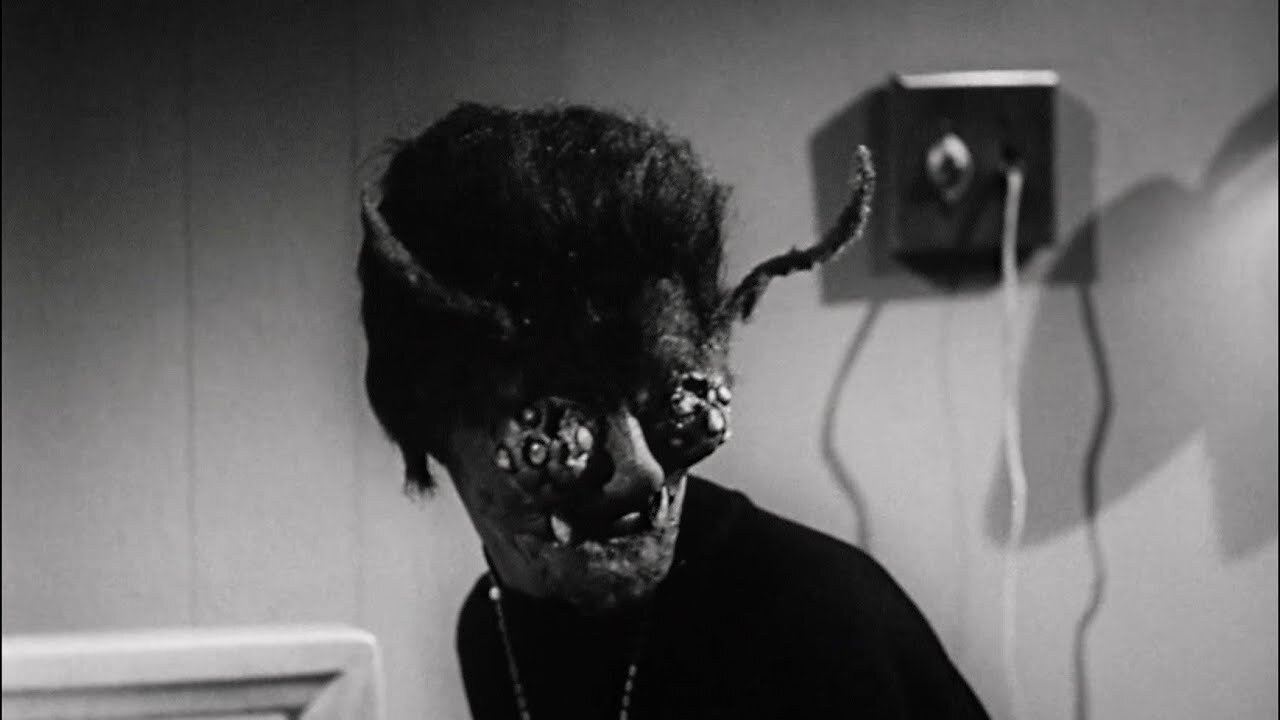 Backdrop image for movie The Wasp Woman