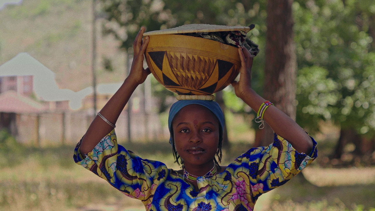 Backdrop image for movie The Sahel Cuisine: Fura Da Nono