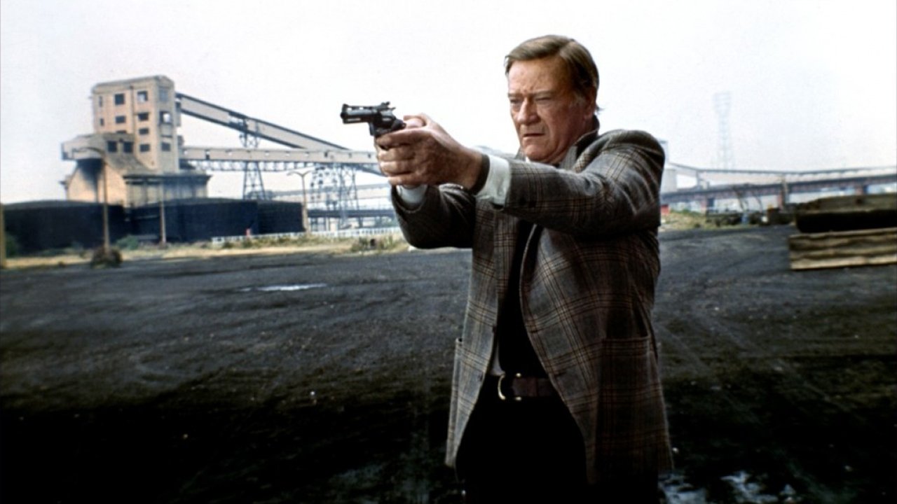 Backdrop image for movie Brannigan