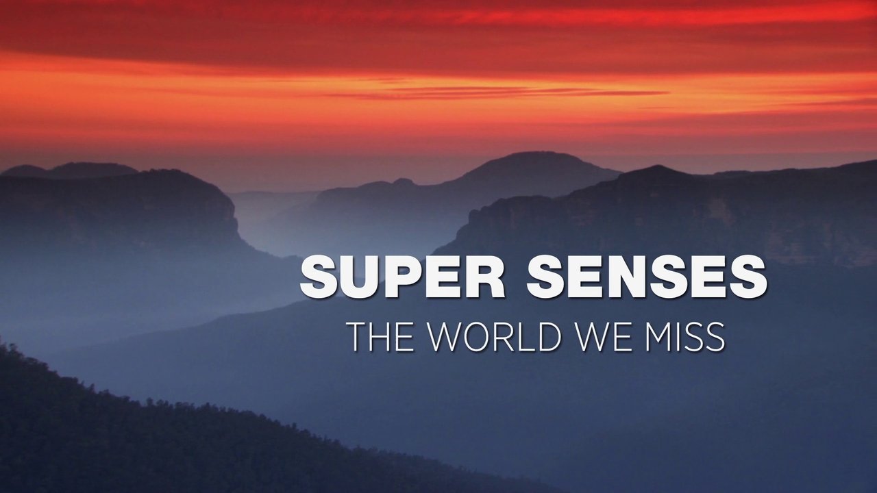 Backdrop image for movie Super Senses