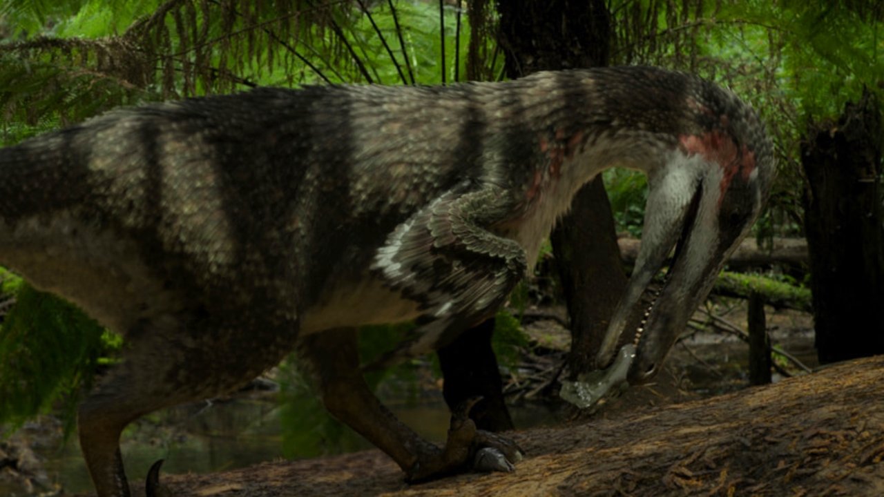 Backdrop image for movie When Dinosaurs Roamed America