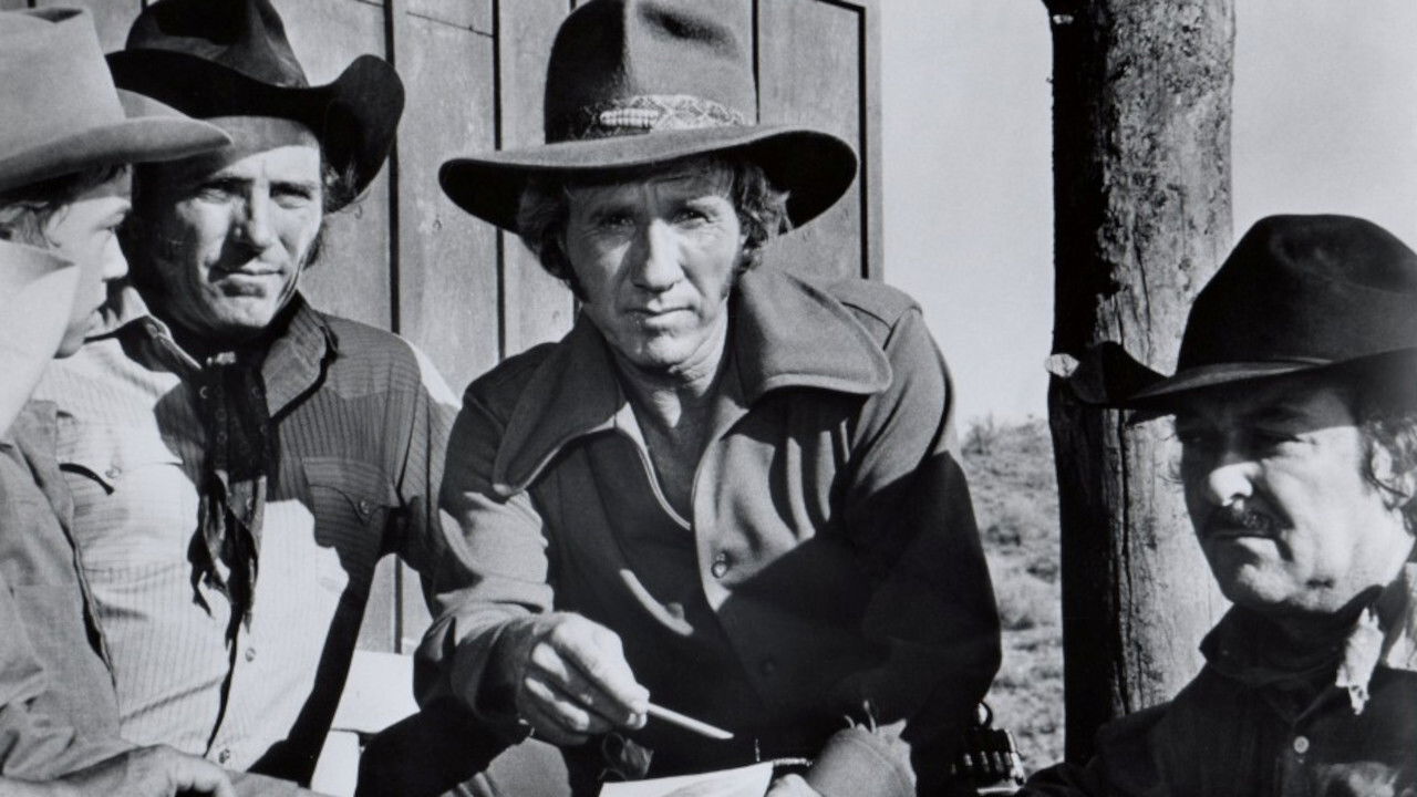 Backdrop image for movie Guns of a Stranger