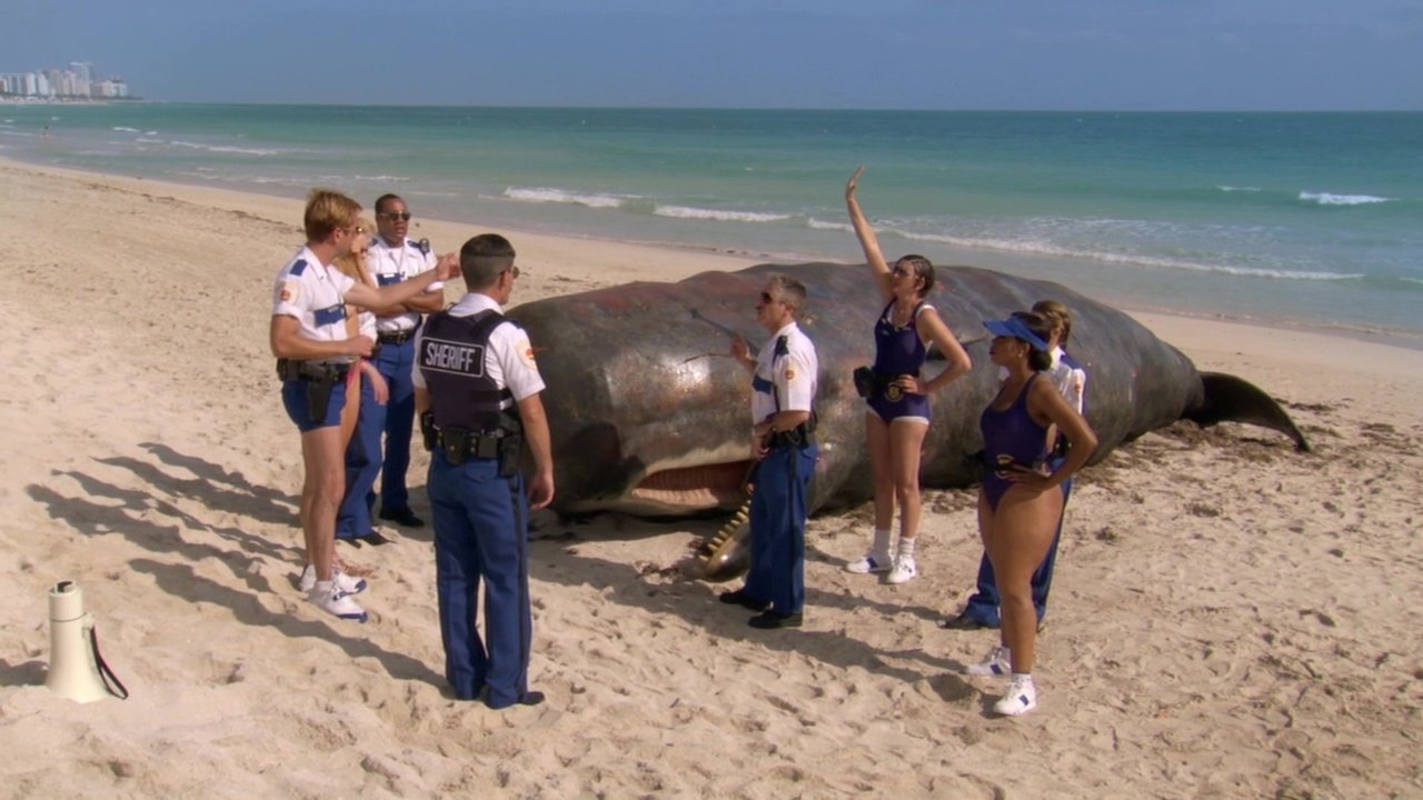 Backdrop image for movie Reno 911!: Miami