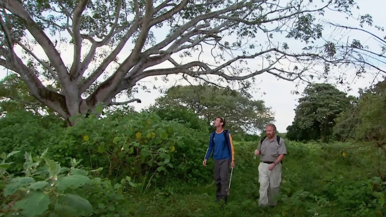 Backdrop image for movie The Real Lost World