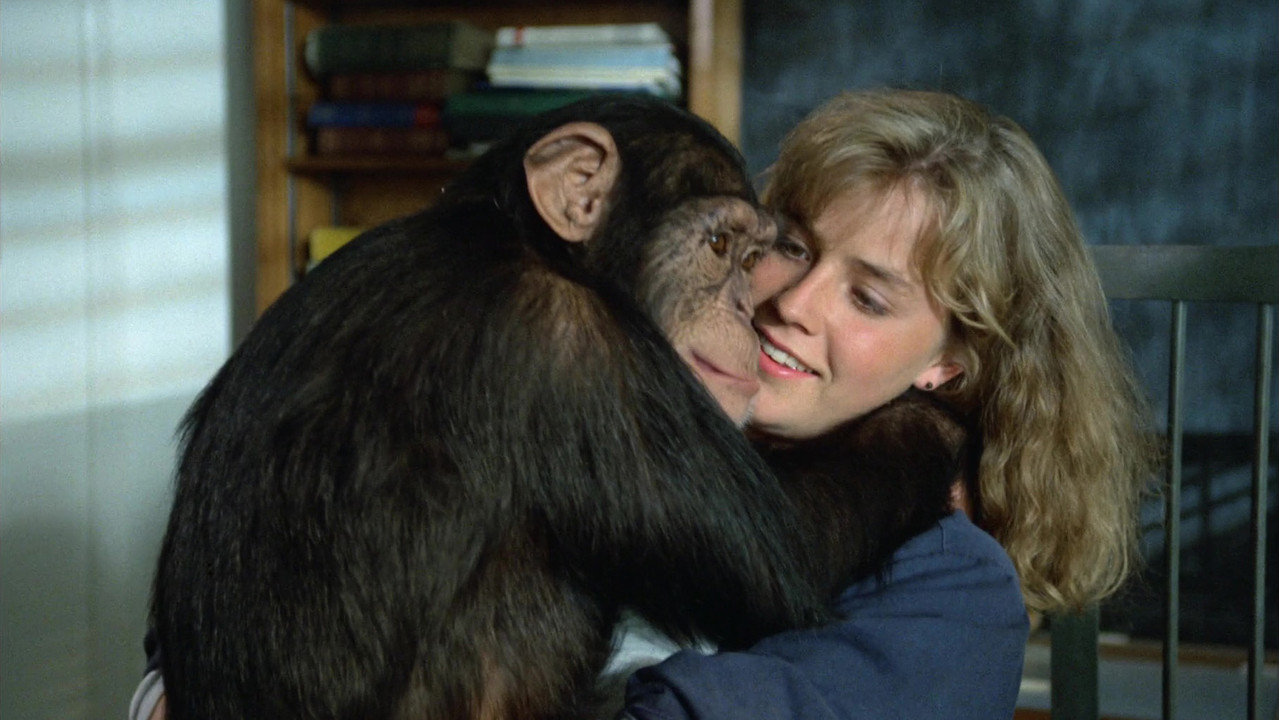 Backdrop image for movie Link