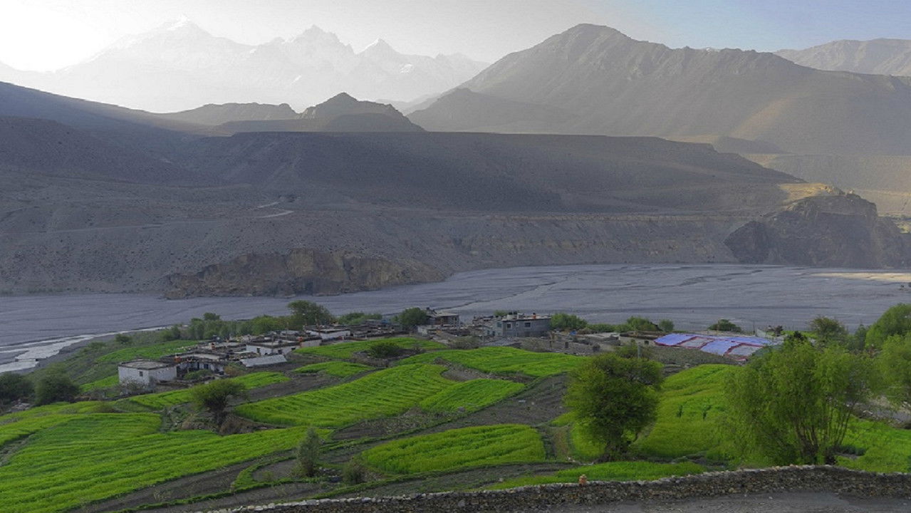 Backdrop image for movie Blue Kangling