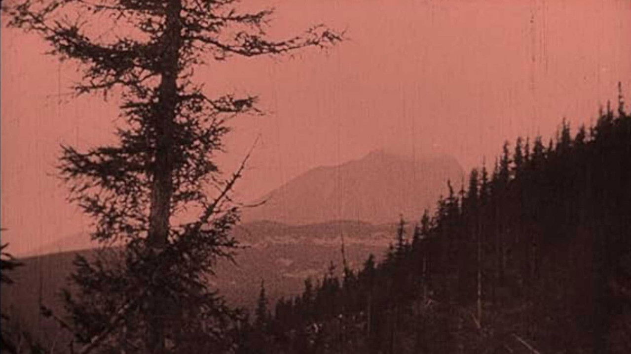 Backdrop image for movie The Mysterious Castles in the Carpathians