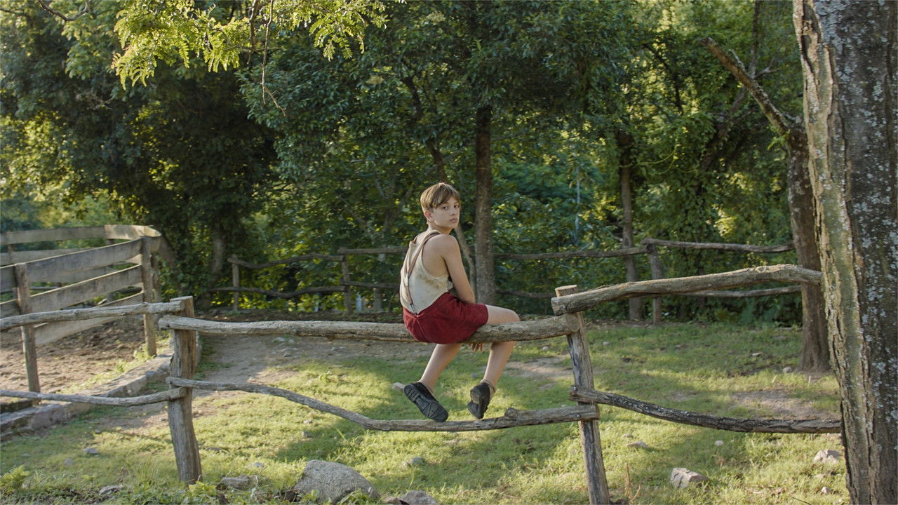 Backdrop image for movie Lamb of God