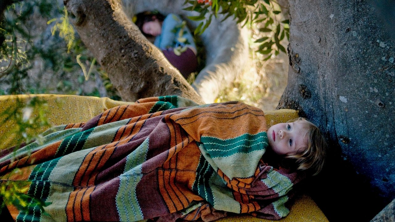 Backdrop image for movie The Tree