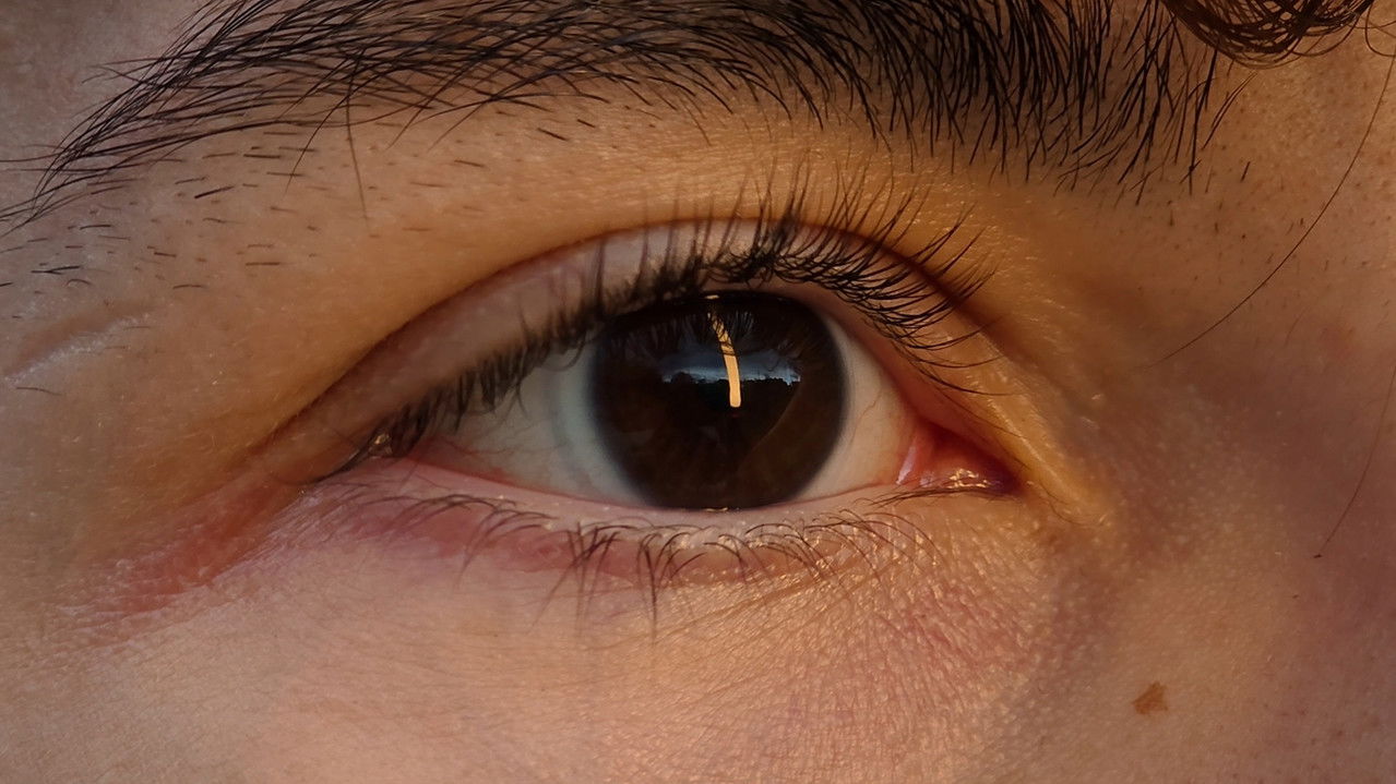 Backdrop image for movie Bon Vivant