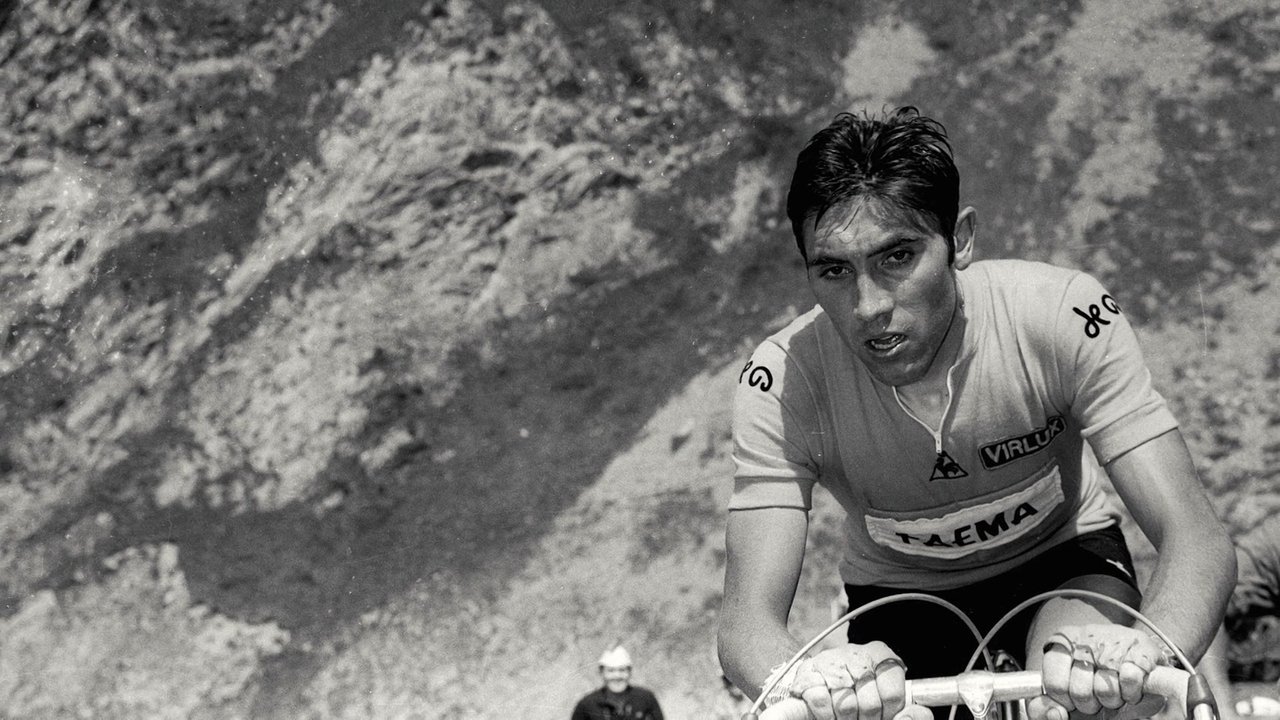 Backdrop image for movie 1969 - Following Merckx
