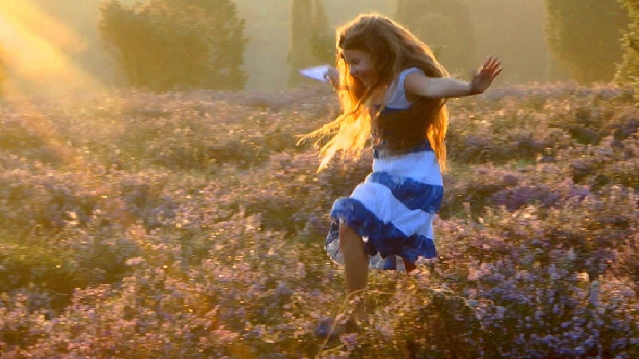 Backdrop image for movie Timebreakers - auf der Suche nach dem geheimnisvollen Heidekristall